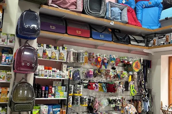 Alanya Petshop 777 - Resim 5