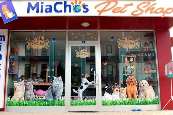 Miachos Petshop - Resim 3