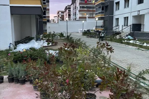 Günışığı Sitesi 🇹🇷 - Resim 11