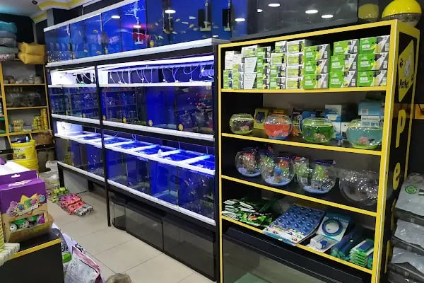 PETNET PET SHOP - Resim 15