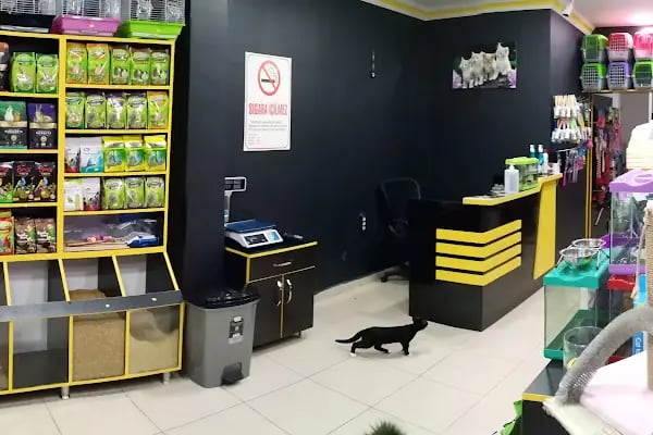 PETNET PET SHOP - Resim 12