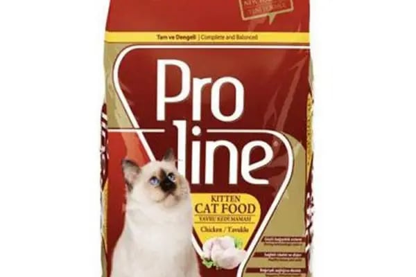 PETNET PET SHOP - Resim 10