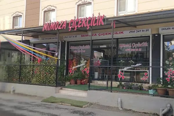 Mimoza Çiçekçilik - Resim 2