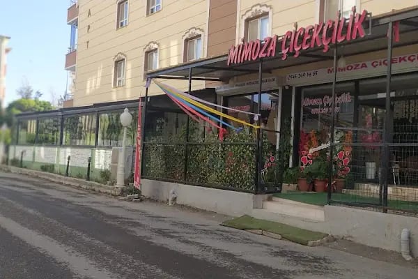 Mimoza Çiçekçilik - Resim 15