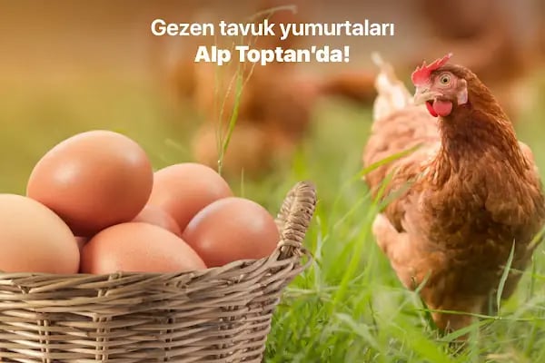 Alp Süpermarket Merkez Depo - Resim 15