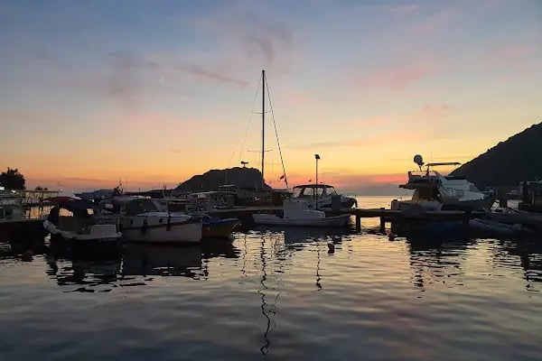 Aquarium Balık Restaurant - Resim 5