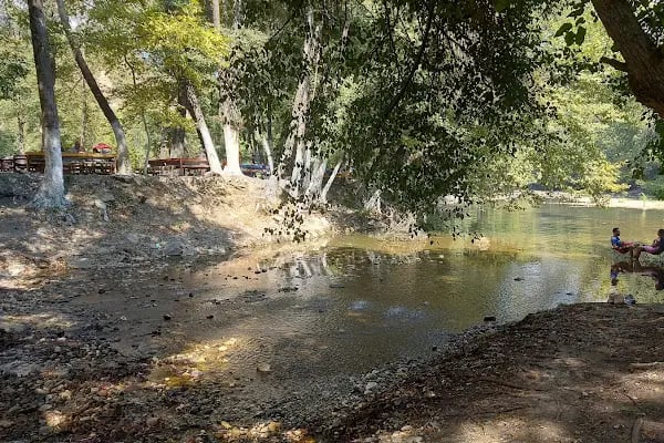 Reis'in Yeri Aile Balık Restoran - Resim 15