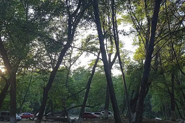 Reis'in Yeri Aile Balık Restoran - Resim 9