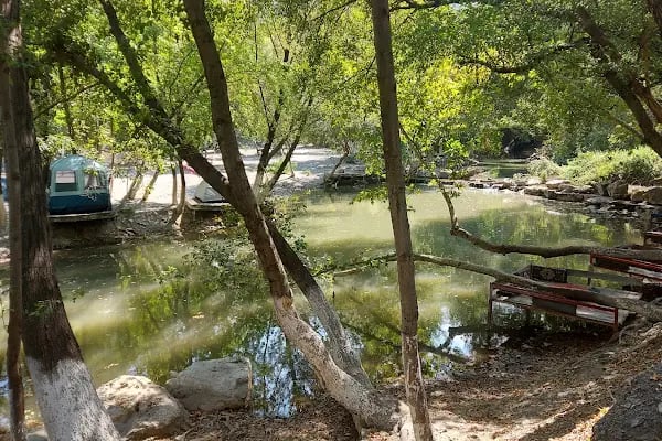 Reis'in Yeri Aile Balık Restoran - Resim 12