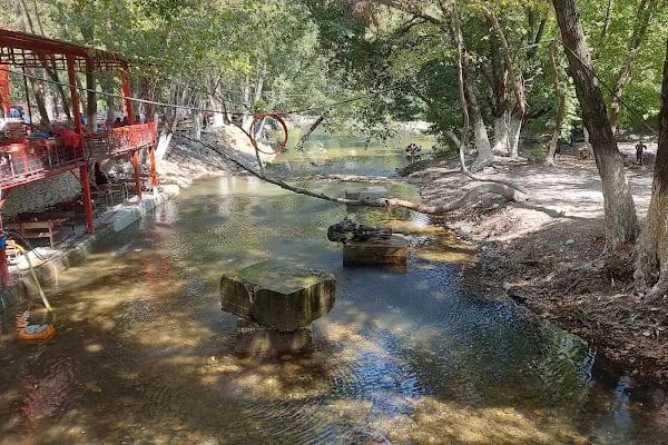 Reis'in Yeri Aile Balık Restoran - Resim 5