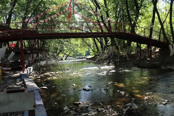 Reis'in Yeri Aile Balık Restoran - Resim 4