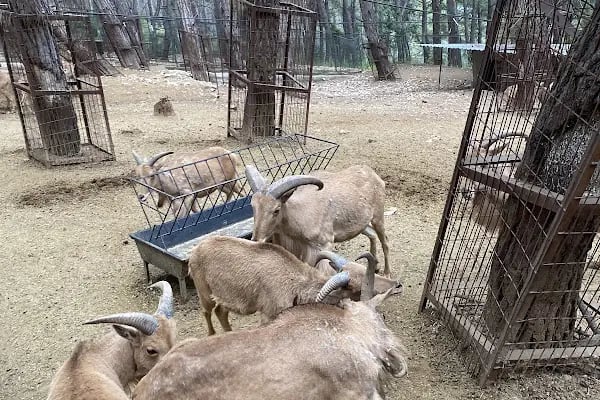 Kumluca Sarnıç Tepesi Hayvanat Bahçesi - Resim 13
