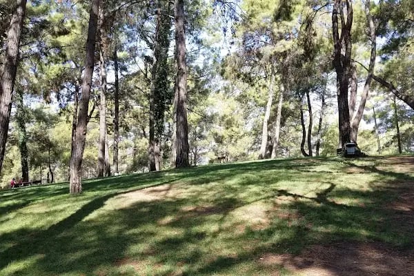 Kumluca Sarnıç Tepesi Hayvanat Bahçesi - Resim 6