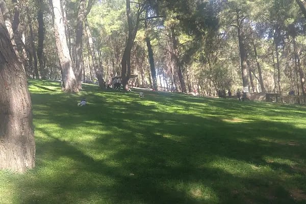 Kumluca Sarnıç Tepesi Hayvanat Bahçesi - Resim 4