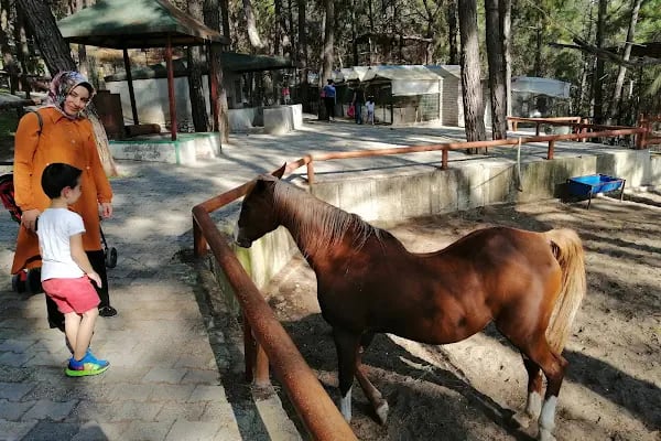 Kumluca Sarnıç Tepesi Hayvanat Bahçesi - Resim 3