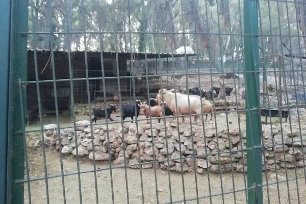 Kumluca Sarnıç Tepesi Hayvanat Bahçesi - Resim 7