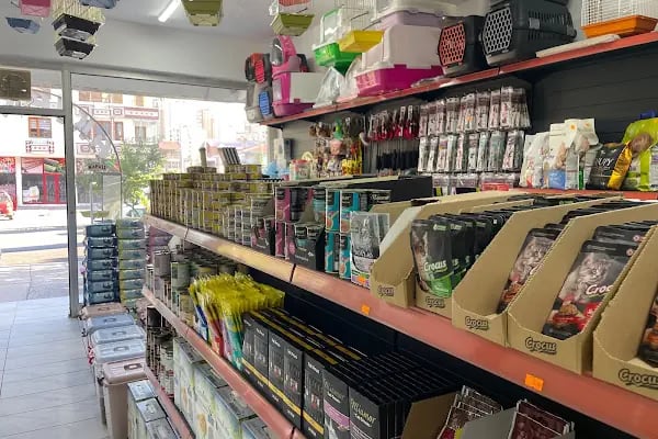 Şahin Petshop - Resim 6