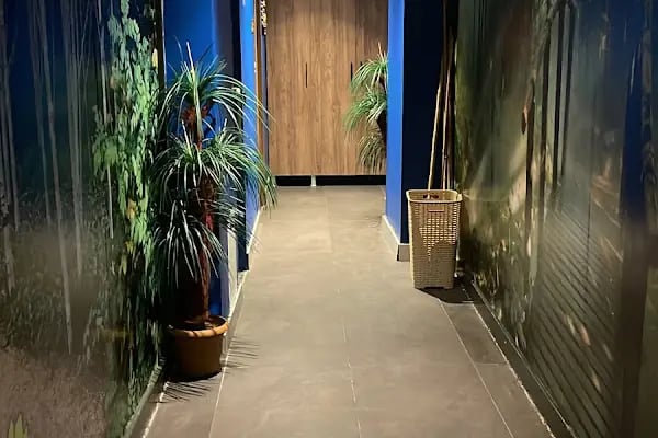 Wes Spa Otel - Resim 1