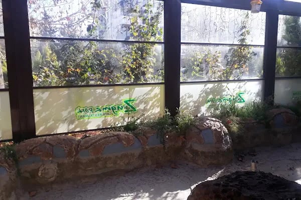 Zeugma Park Cafe Restaurant - Resim 18