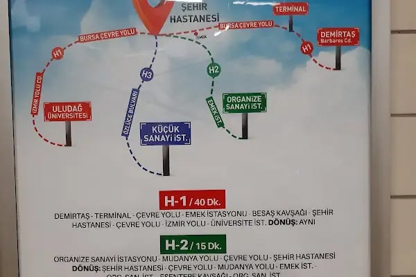Hamitler - Fethiye - Resim 13