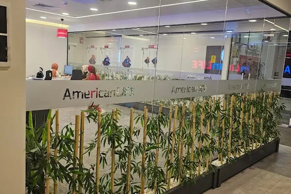 American LIFE Meram - Resim 10