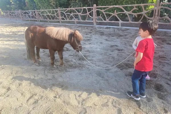 Gaziantep Atlı Spor Kulubü - GASK - Resim 10