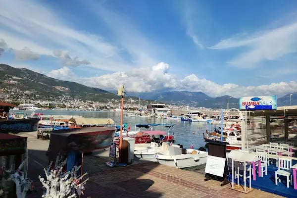 Web Tasarım Alanya - Resim 15
