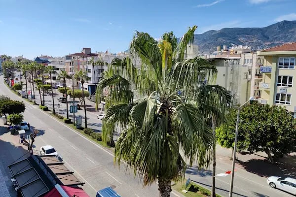Web Tasarım Alanya - Resim 5
