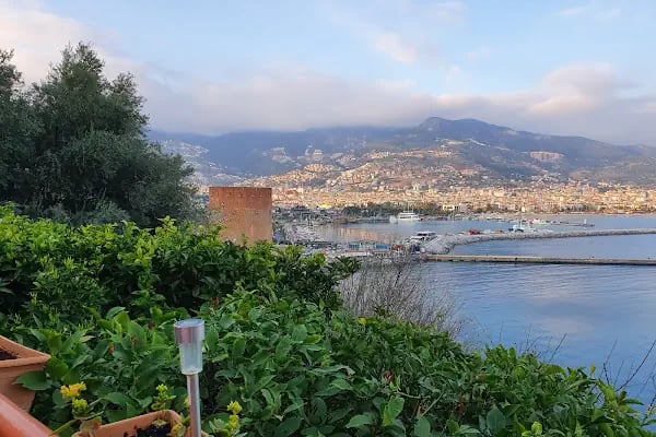 Web Tasarım Alanya - Resim 19