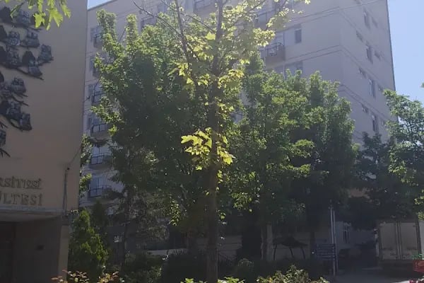 Ankara Üniversitesi İletişim Fakültesi - Resim 6