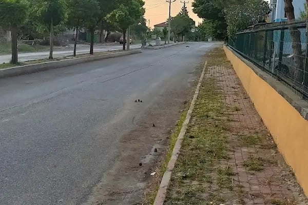 Akşehir Adsız Belediyesi - Resim 13