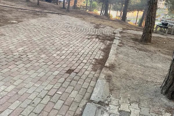 Dağ Evi Mangal Semaver - Resim 18