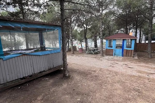 Dağ Evi Mangal Semaver - Resim 4