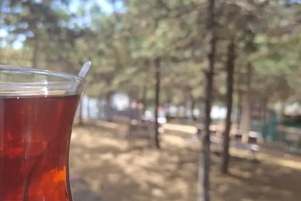Dağ Evi Mangal Semaver - Resim 11