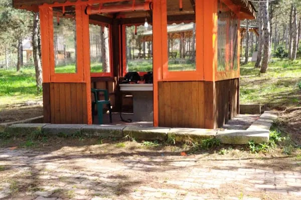 Dağ Evi Mangal Semaver - Resim 7