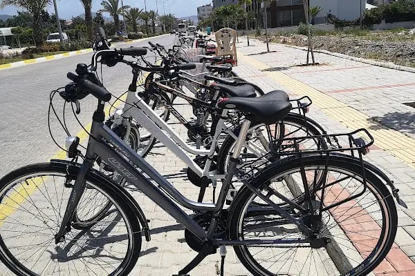 Kasımoğlu Motorsiklet Ve Bisiklet Tamir Bisiklet Kiralama - Resim 10