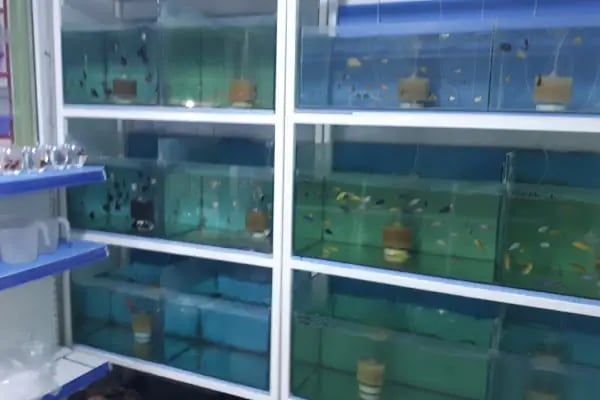 ALİAĞA PETSHOP - Resim 18