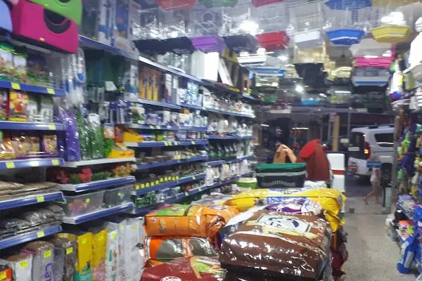 ALİAĞA PETSHOP - Resim 17