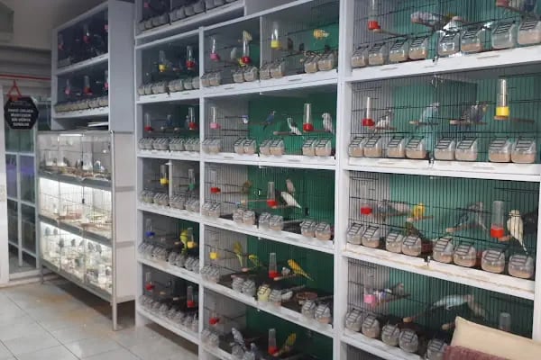ALİAĞA PETSHOP - Resim 10