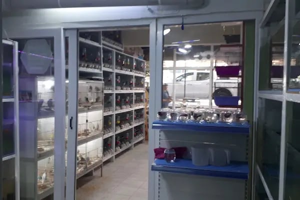 ALİAĞA PETSHOP - Resim 13