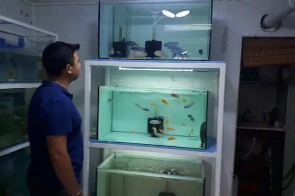 ALİAĞA PETSHOP - Resim 15