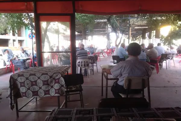 KUTLU cay bahcesi - Resim 20