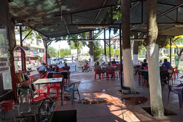 KUTLU cay bahcesi - Resim 18