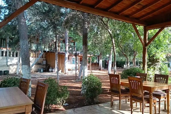 GO - Şanlıurfa Merkez - Resim 4