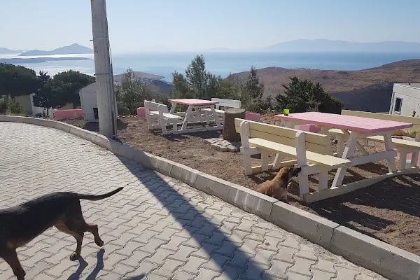 Bagla Aytur Sitesi, Bodrum - Resim 6