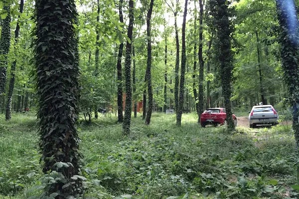 Avcıkoru Tabiat Parkı - Resim 8