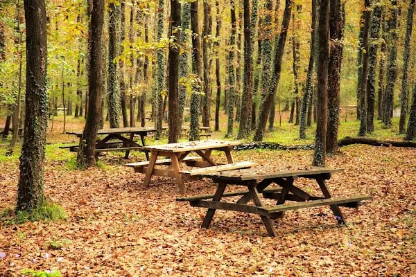 Avcıkoru Tabiat Parkı - Resim 2