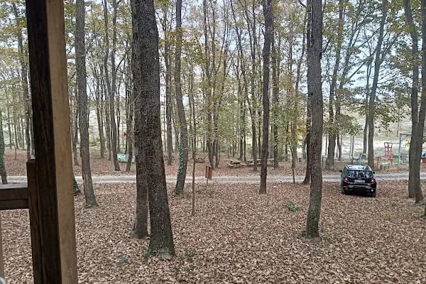 Avcıkoru Tabiat Parkı - Resim 5
