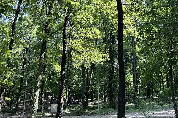 Avcıkoru Tabiat Parkı - Resim 11