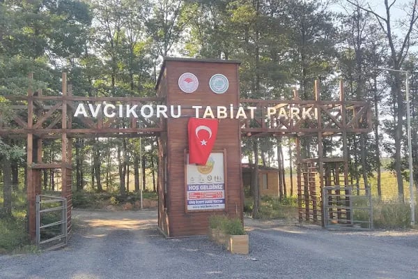 Avcıkoru Tabiat Parkı - Resim 1